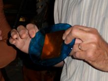 2012_06_05_CVD_018.jpg