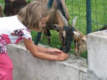 2012_08_25_VD_01.JPG