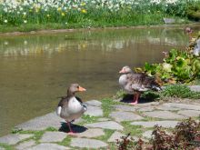 2013_04_14_CVD_005.JPG