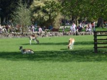 2013_04_14_CVD_023.JPG