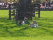 2013_04_14_CVD_025.JPG