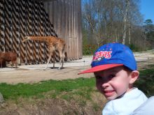 2013_04_14_CVD_032.JPG