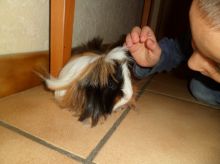2013_03_10_CVD_06.JPG