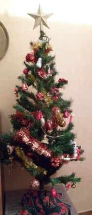 2014_12_14_CVD_05.JPG